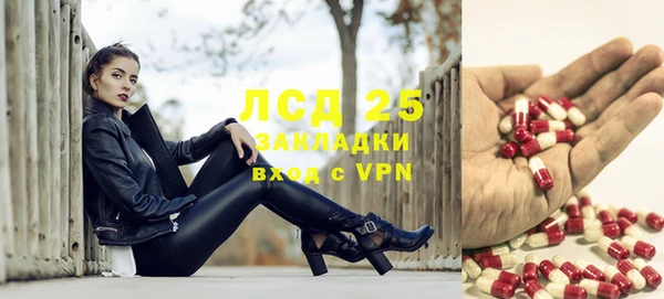 трава Арсеньев