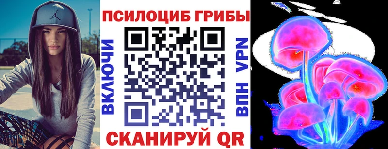 ссылка на мегу зеркало  Кашин  Псилоцибиновые грибы прущие грибы 